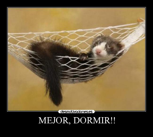 MEJOR, DORMIR!! -