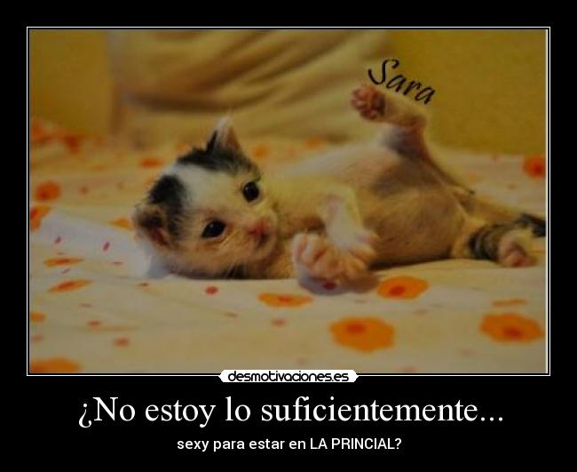 ¿No estoy lo suficientemente... -