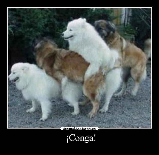 ¡Conga! -