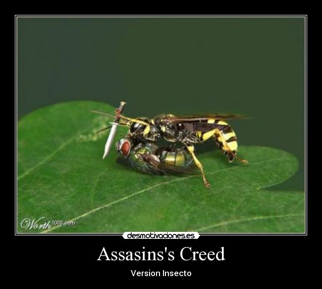 Assasinss Creed - Version Insecto