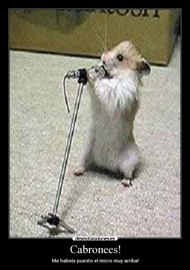 Cabronees! - Me habeis puesto el micro muy arriba!