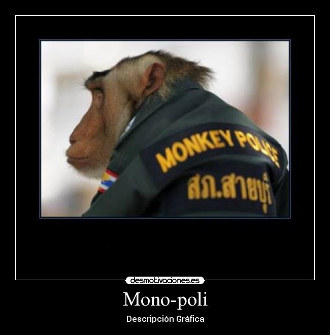 Mono-poli -