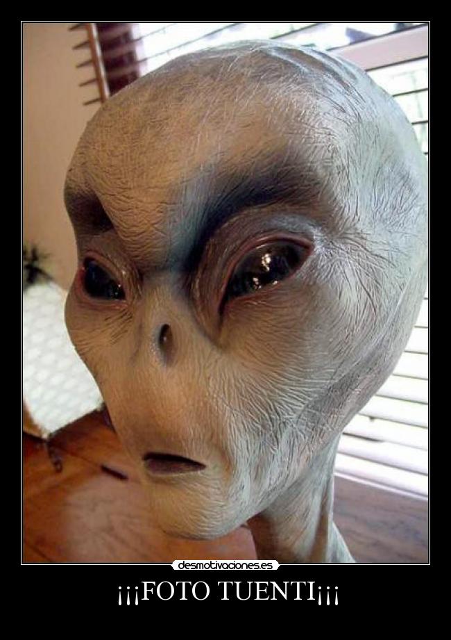 ¡¡¡FOTO TUENTI¡¡¡ - 