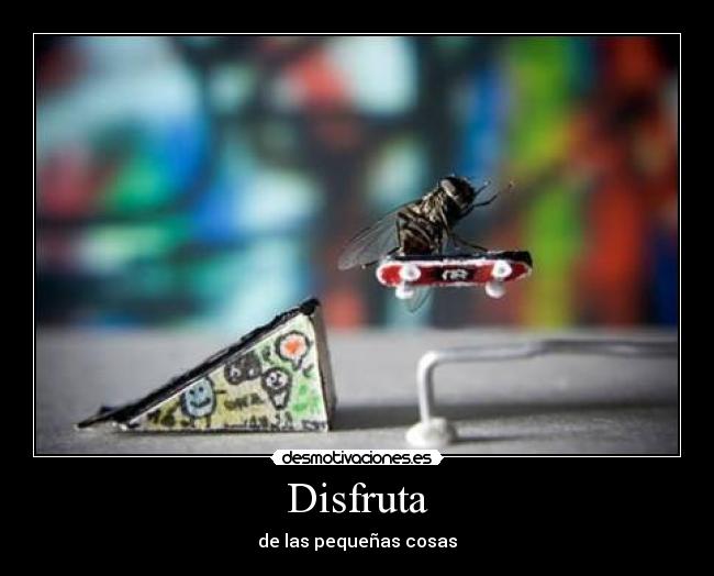 Disfruta - 