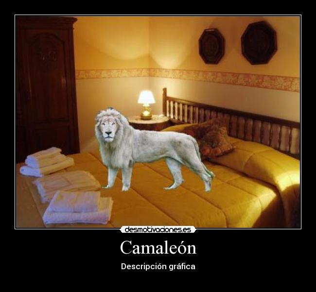 Camaleón - 