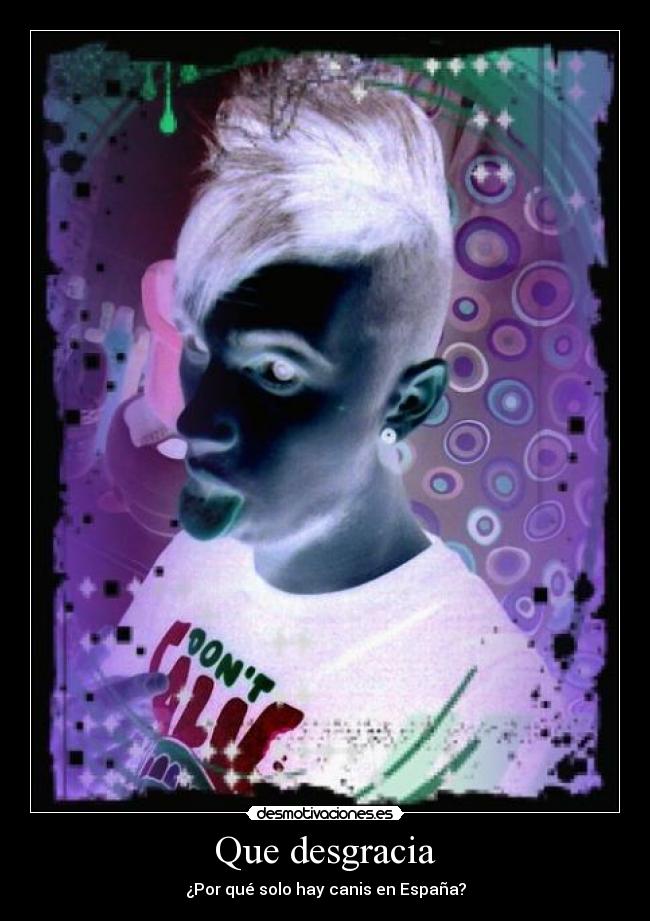Que desgracia - ¿Por qué solo hay canis en España?