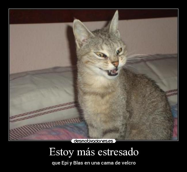 Estoy más estresado -