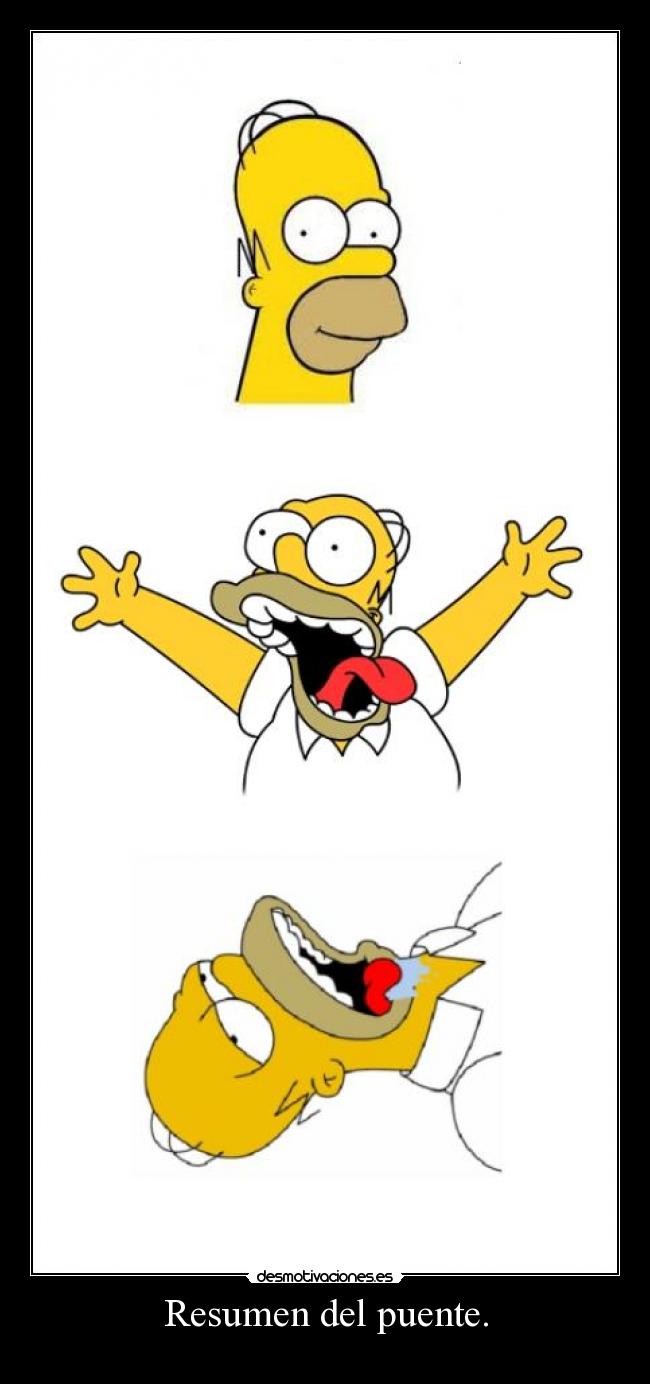 Resumen del puente. -