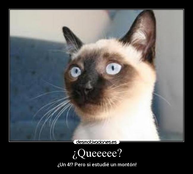 ¿Queeeee? -