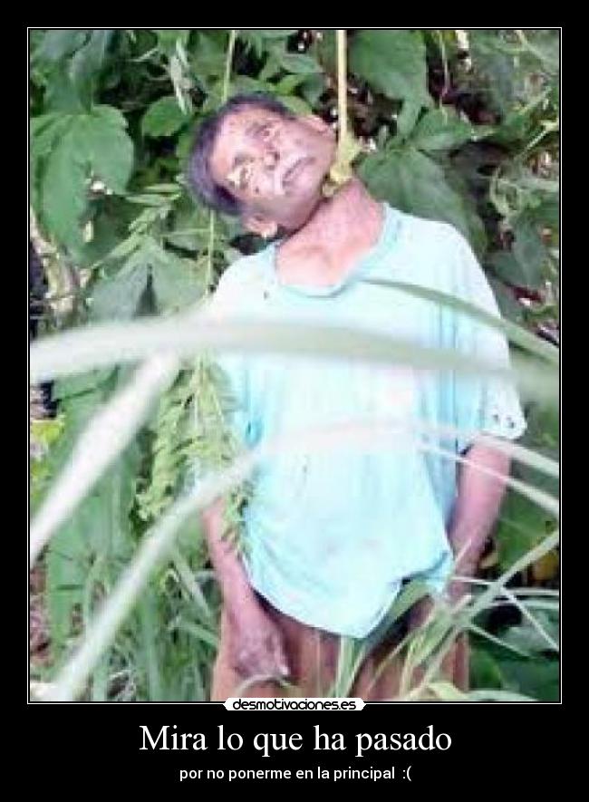 Mira lo que ha pasado - 