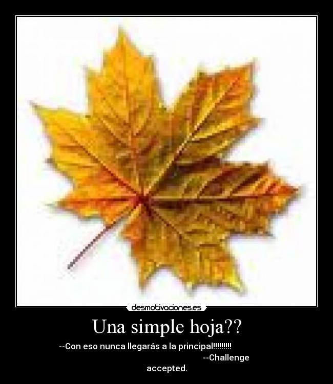 Una simple hoja?? - --Con eso nunca llegarás a la principal!!!!!!!!!                     
                                                          --Challenge
accepted.