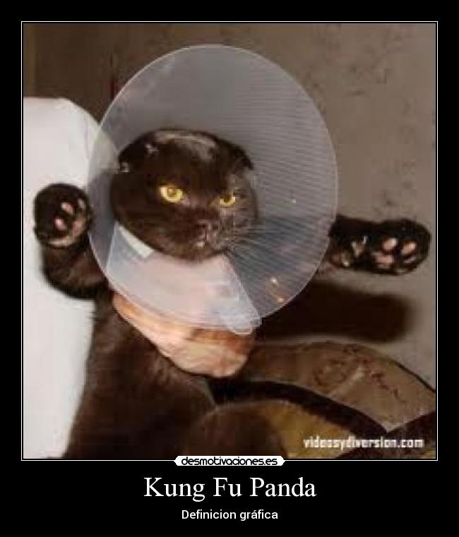 Kung Fu Panda - 