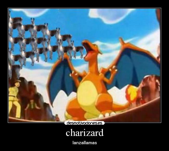 charizard -