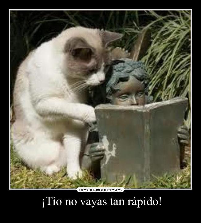 ¡Tio no vayas tan rápido! - 