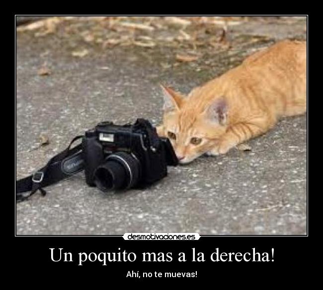 Un poquito mas a la derecha! - Ahí, no te muevas!