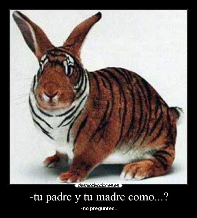 -tu padre y tu madre como...? - 