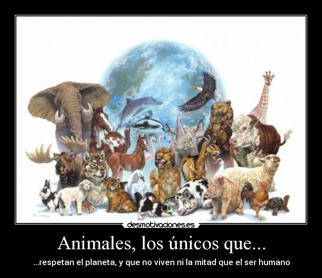 Animales, los únicos que... - ...respetan el planeta, y que no viven ni la mitad que el ser humano