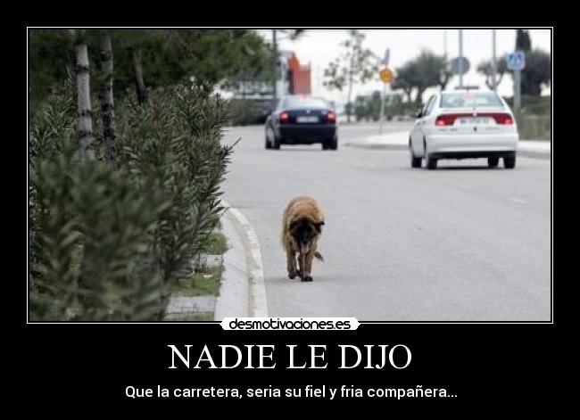 NADIE LE DIJO - 