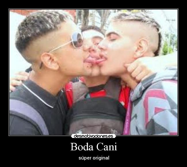 Boda Cani - súper original