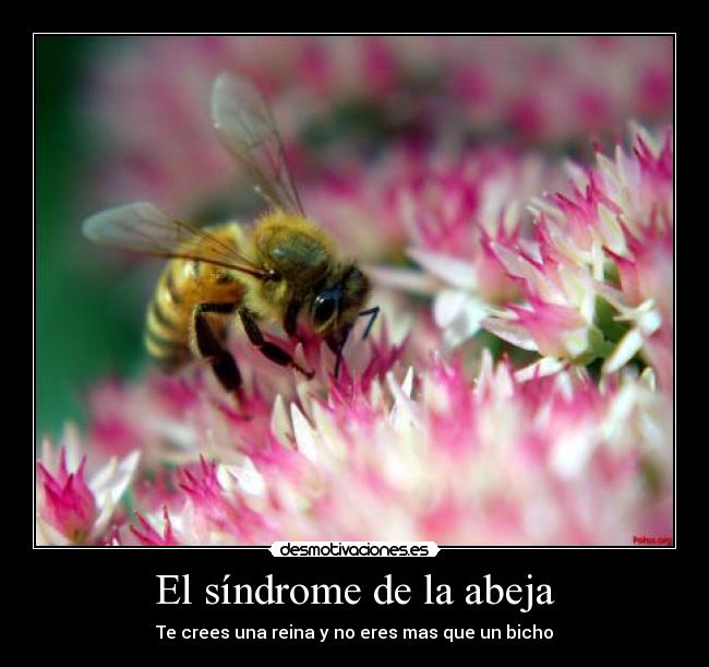 El síndrome de la abeja - Te crees una reina y no eres mas que un bicho