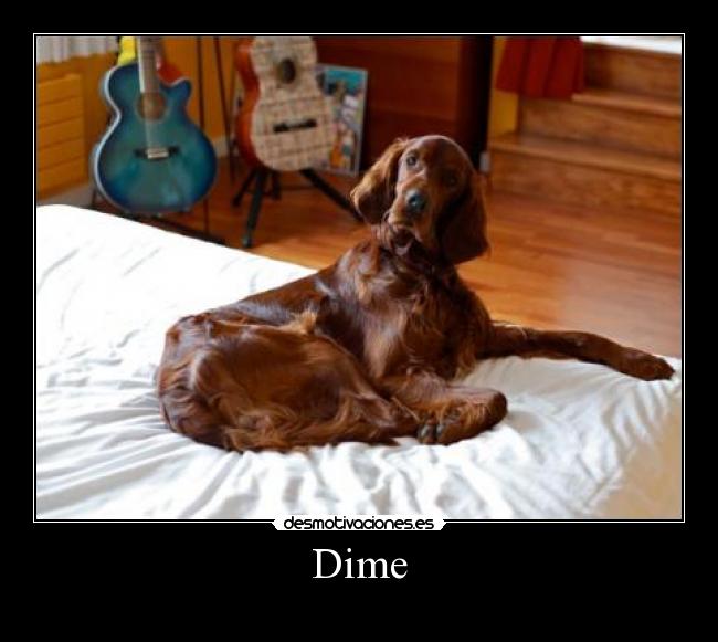 Dime -