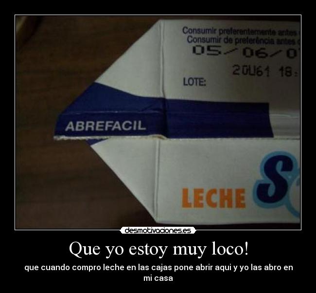 Que yo estoy muy loco! - 