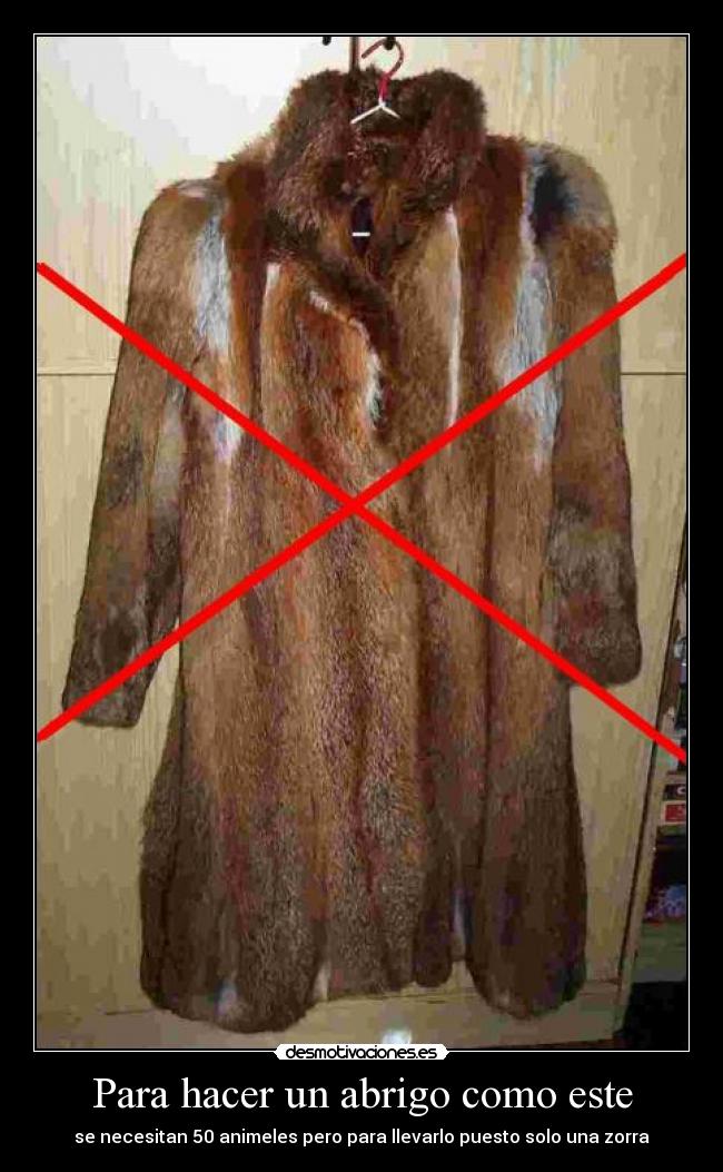 Para hacer un abrigo como este -
