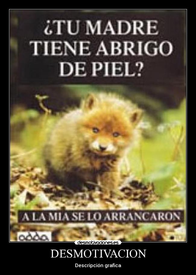 carteles pobres animales desmotivaciones
