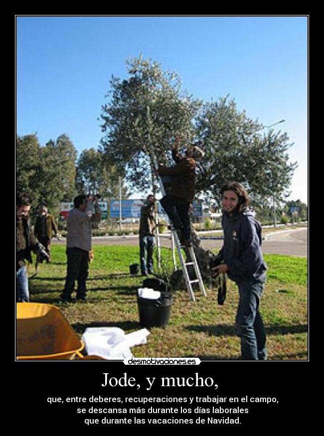 Jode, y mucho, - que, entre deberes, recuperaciones y trabajar en el campo,
se descansa más durante los días laborales
que durante las vacaciones de Navidad.