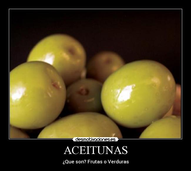 ACEITUNAS - 