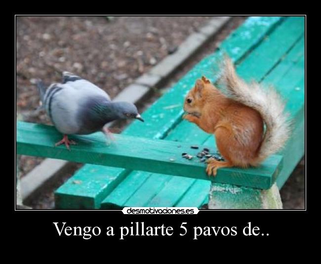 Vengo a pillarte 5 pavos de.. - 