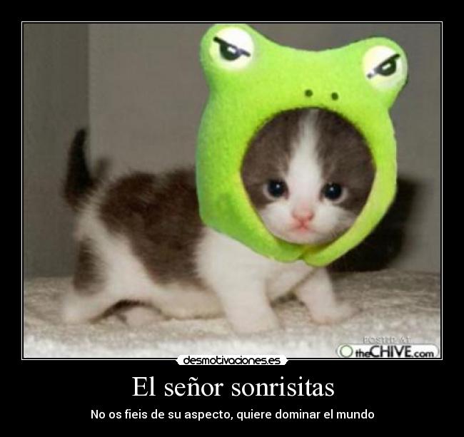 El señor sonrisitas - No os fieis de su aspecto, quiere dominar el mundo