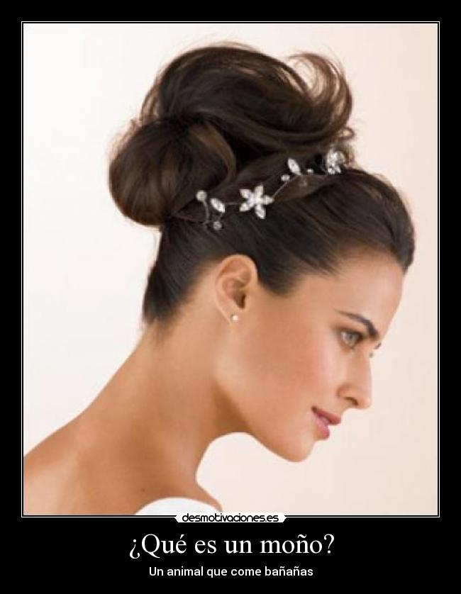 ¿Qué es un moño? - Un animal que come bañañas