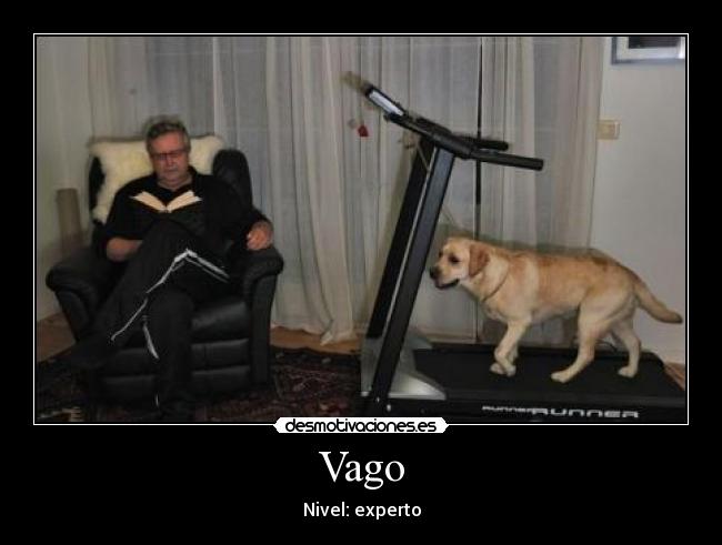 Vago - 