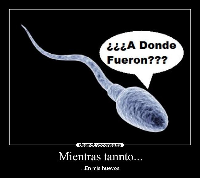 Mientras tannto... - ...En mis huevos