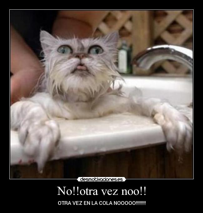 No!!otra vez noo!! - OTRA VEZ EN LA COLA NOOOOO!!!!!!!!