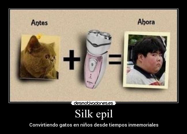 Silk epil - Convirtiendo gatos en niños desde tiempos inmemoriales