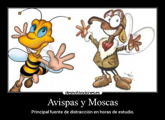 Avispas y Moscas -