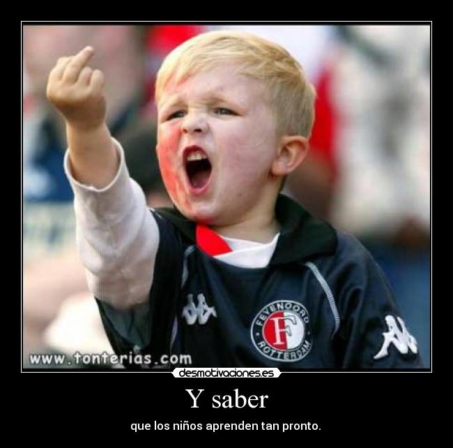 Y saber - 