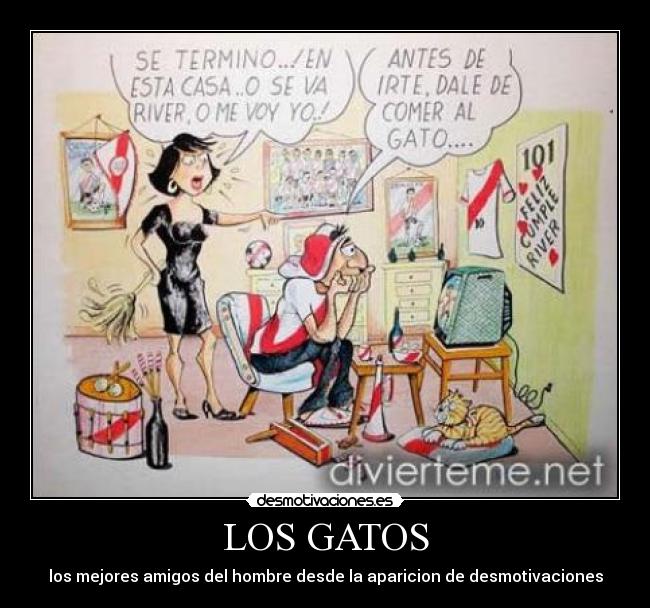 LOS GATOS -
