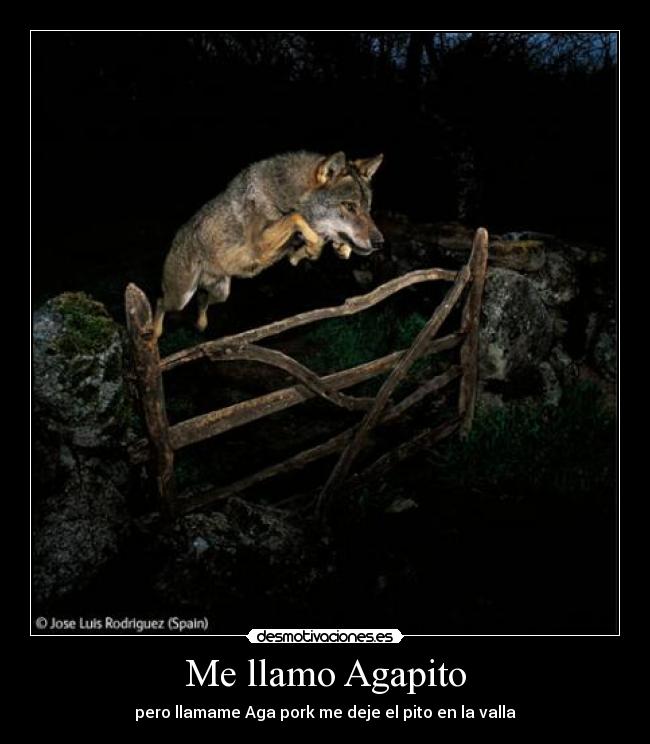Me llamo Agapito - pero llamame Aga pork me deje el pito en la valla