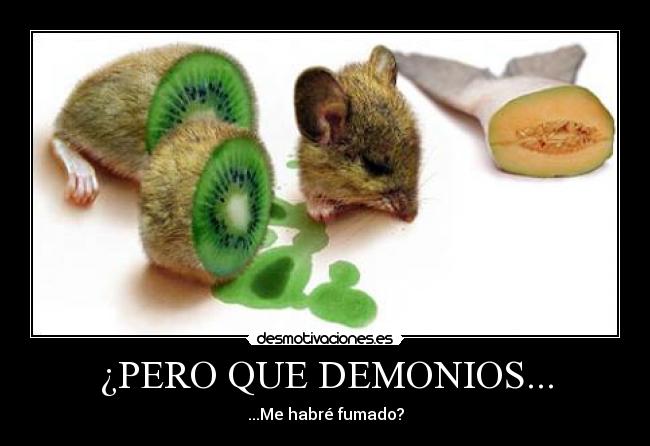 ¿PERO QUE DEMONIOS... - ...Me habré fumado?
