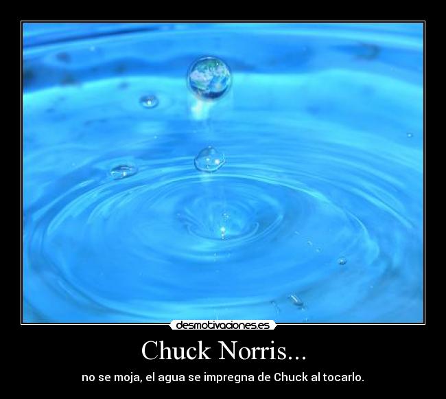 Chuck Norris... -  no se moja, el agua se impregna de Chuck al tocarlo. 
