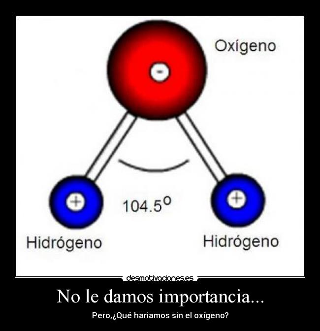 No le damos importancia... - Pero,¿Qué hariamos sin el oxígeno?