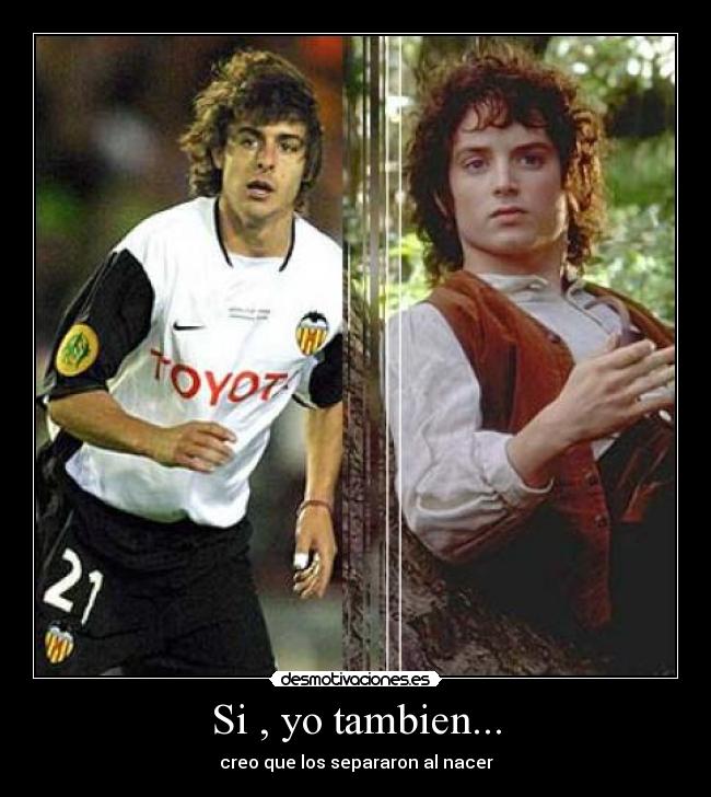 carteles aimar frodo desmotivaciones