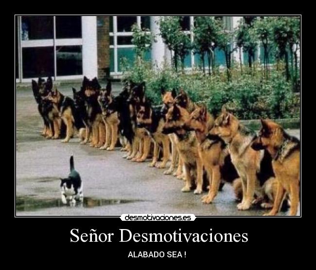 Señor Desmotivaciones - ALABADO SEA !