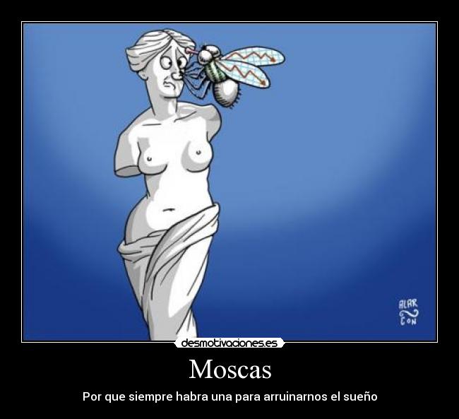 Moscas - Por que siempre habra una para arruinarnos el sueño