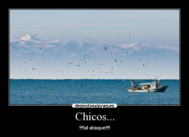 Chicos... -