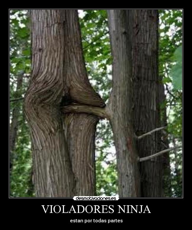 VIOLADORES NINJA - estan por todas partes