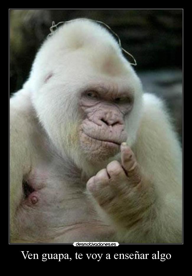 Ven guapa, te voy a enseñar algo -